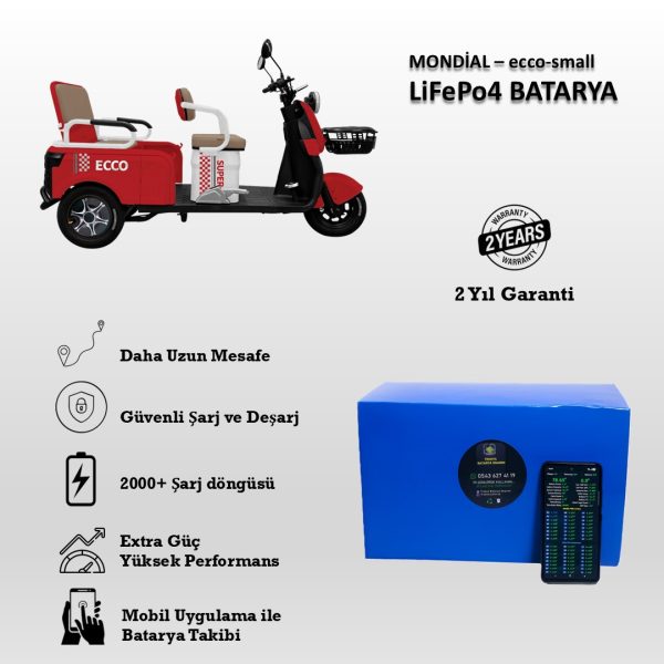 Mondial-Ecco Small Uyumlu LiFePO4 Batarya 72V 24Ah